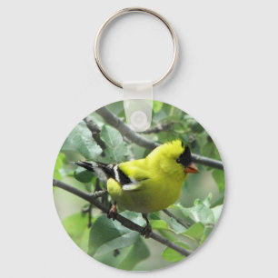 Goldfinch Sleutelhanger