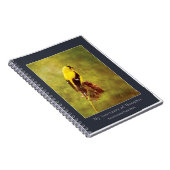 Goldfinch Songbird Notebook | Nature Art Journal Notitieboek (Rechterzijde)