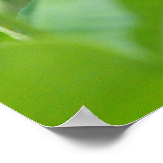 Goldfinch (Spinus tristis) landend op een Coneflow Poster (Hoek)