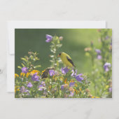 Goldfinch Spring Garden Wedding Invitation Kaart (Achterkant)