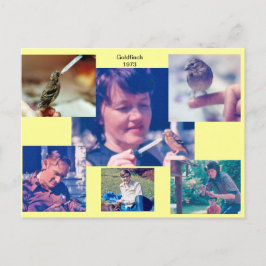 Goldfinch Story 1973 Briefkaart