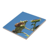 Goldfinch Tegeltje (Zijkant)