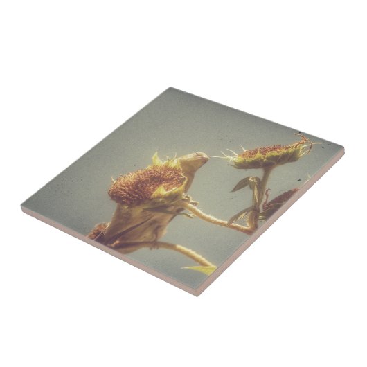 Goldfinch Tegeltje (Zijkant)