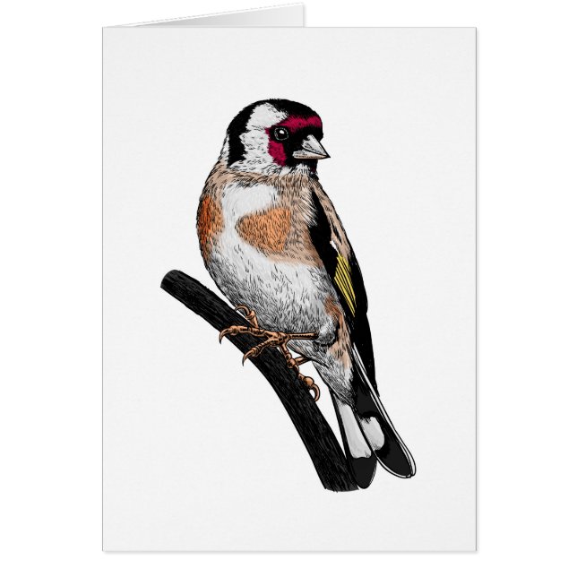 Goldfinch tekening (Voorkant)