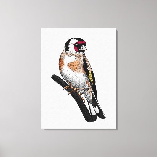 Goldfinch tekening canvas afdruk (Voorkant)
