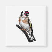 Goldfinch tekening magneet (Voorkant)