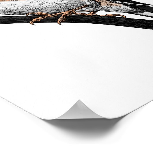 Goldfinch tekening poster (Hoek)