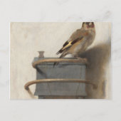 Goldfinch van Carel Fabritius Briefkaart (Voorkant)