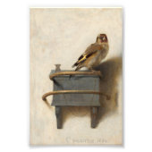 Goldfinch van Carel Fabritius Foto Afdruk (Voorkant)