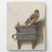 Goldfinch van Carel Fabritius Fotoplaat (Voorkant)