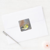 Goldfinch Vierkante Sticker (Envelop)