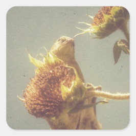 Goldfinch Vierkante Sticker