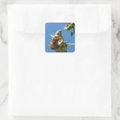 Goldfinch Vierkante Sticker (Tas)