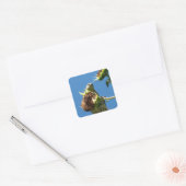 Goldfinch Vierkante Sticker (Envelop)