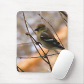 Goldfinch-Waterverf Muismat (Met muis)
