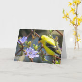 Goldfinch Wenskaart Kaart (Gele Bloem)