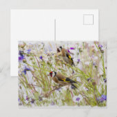 Goldfinches Briefkaart (Voorkant / Achterkant)
