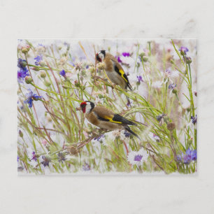 Goldfinches Briefkaart