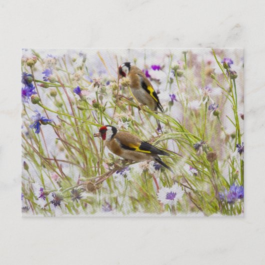 Goldfinches Briefkaart (Voorkant)