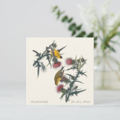 Goldfinches by John James Audubon (Staand voorkant)