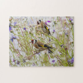 Goldfinches Legpuzzel