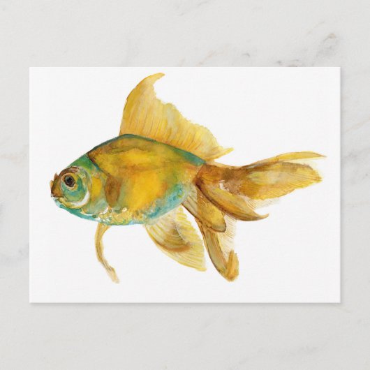 goldfish2.jpg briefkaart (Voorkant)