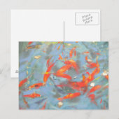 Goldfish 2010 briefkaart (Voorkant / Achterkant)