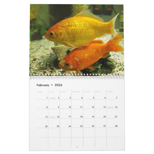 Goldfish 2020 kalender (Feb 2026)
