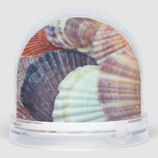 Goldfish and Seashells Snow Globe Sneeuwbol (Achterkant)
