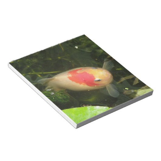 Goldfish-blocnote Notitieblok (Schuin)