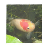 Goldfish-blocnote Notitieblok (Voorkant)