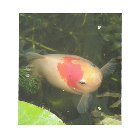 Goldfish-blocnote Notitieblok (Voorkant)
