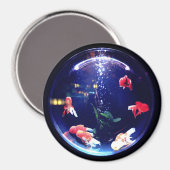 Goldfish bowl aquarium magnet (Voorkant / Achterkant)