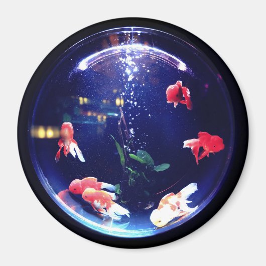Goldfish bowl aquarium magnet (Voorkant)