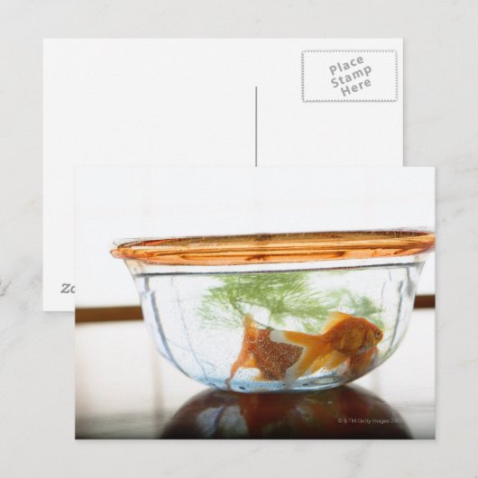 Goldfish bowl briefkaart (Voorkant / Achterkant)