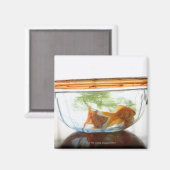 Goldfish bowl magneet (Voorkant / Achterkant)