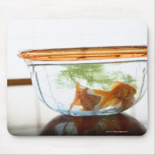 Goldfish bowl muismat