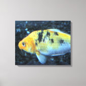 Goldfish Canvas Afdruk (Voorkant)