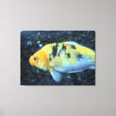 Goldfish Canvas Afdruk (Voorkant)