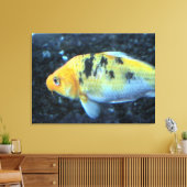 Goldfish Canvas Afdruk (Insitu (Woonkamer))
