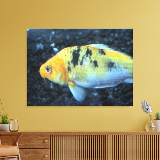 Goldfish Canvas Afdruk (Insitu (Woonkamer))