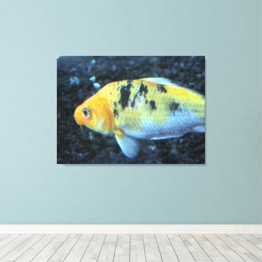 Goldfish Canvas Afdruk (Insitu (Houten vloer))