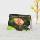 Goldfish Funny Wenskaart Kaart (Gele Bloem)