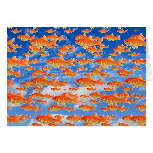 Goldfish Heaven (Voorkant Horizontaal)