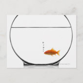 Goldfish in bowl briefkaart (Voorkant)