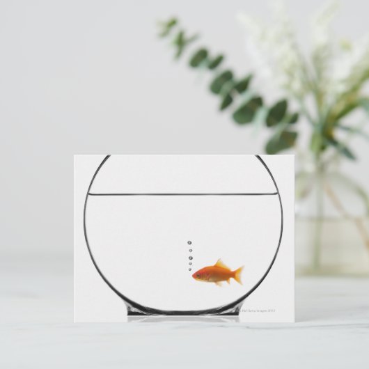 Goldfish in bowl briefkaart (Staand voorkant)
