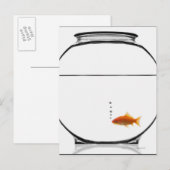 Goldfish in bowl briefkaart (Voorkant / Achterkant)
