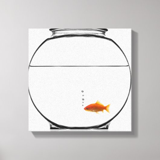 Goldfish in bowl canvas afdruk (Voorkant)