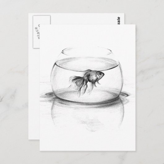 Goldfish in bowl en water Potlood tekenkunst Briefkaart (Voorkant / Achterkant)