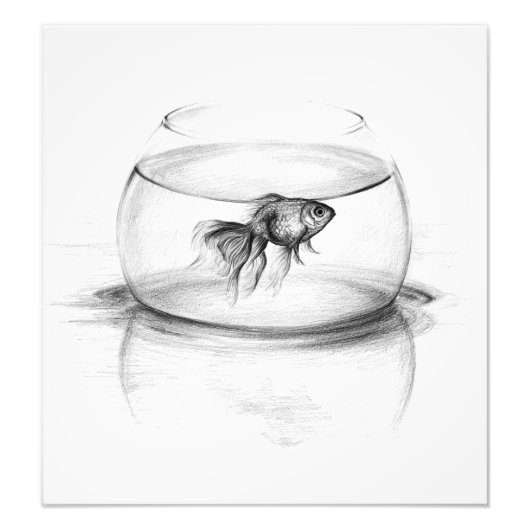Goldfish in bowl en water Potlood tekenkunst Foto Afdruk (Voorkant)